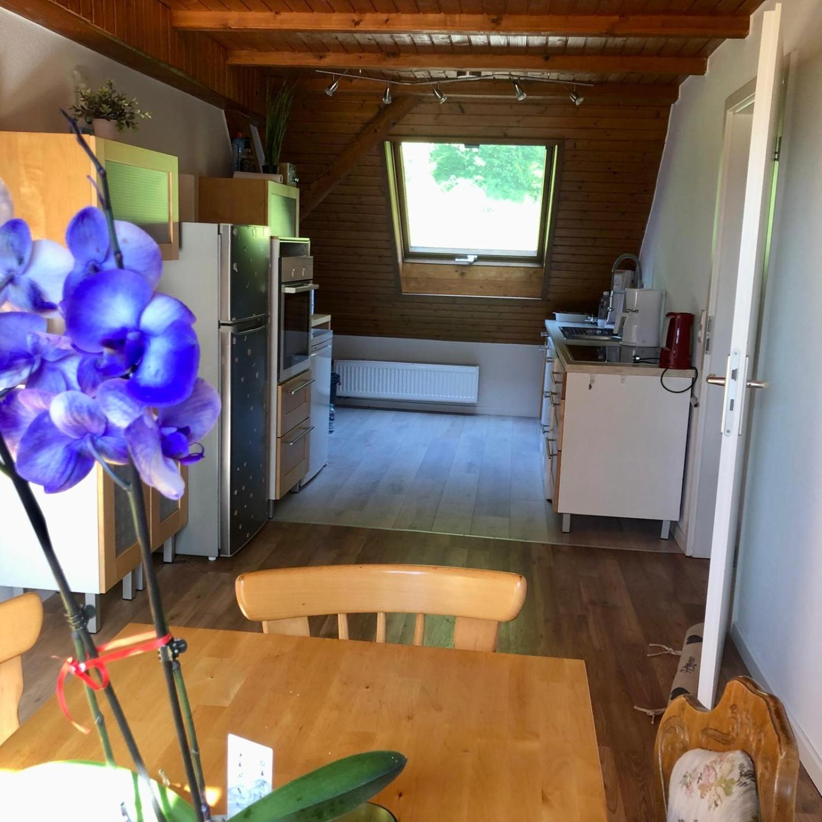 Ferien Im Schwarzwald Freiamt Hotell Eksteriør bilde