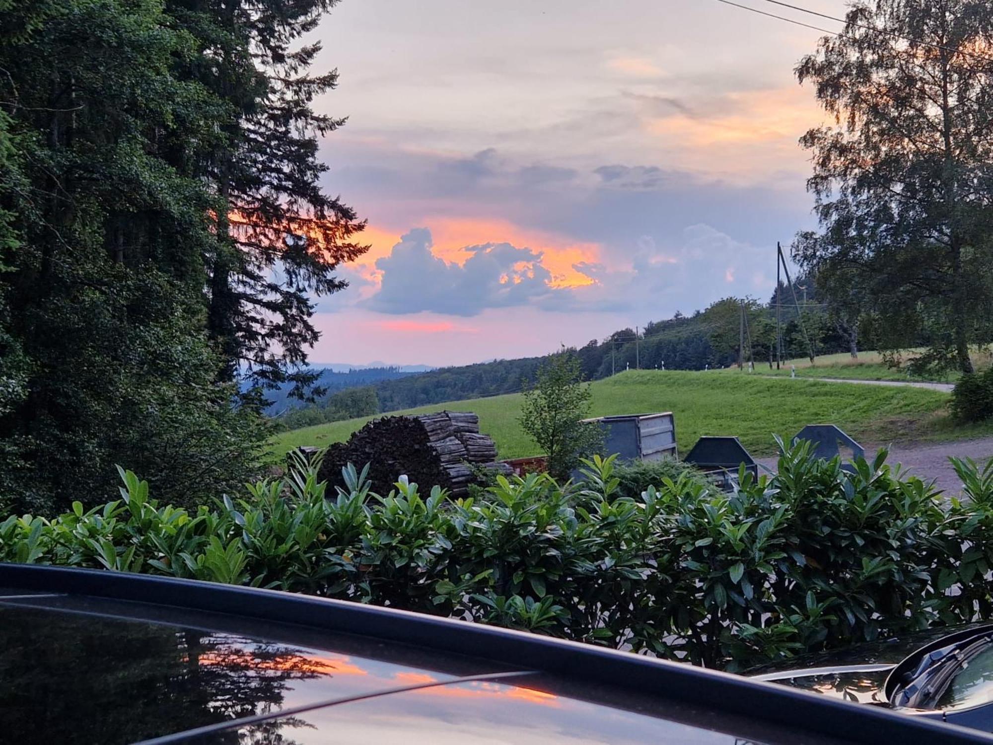 Ferien Im Schwarzwald Freiamt Hotell Eksteriør bilde