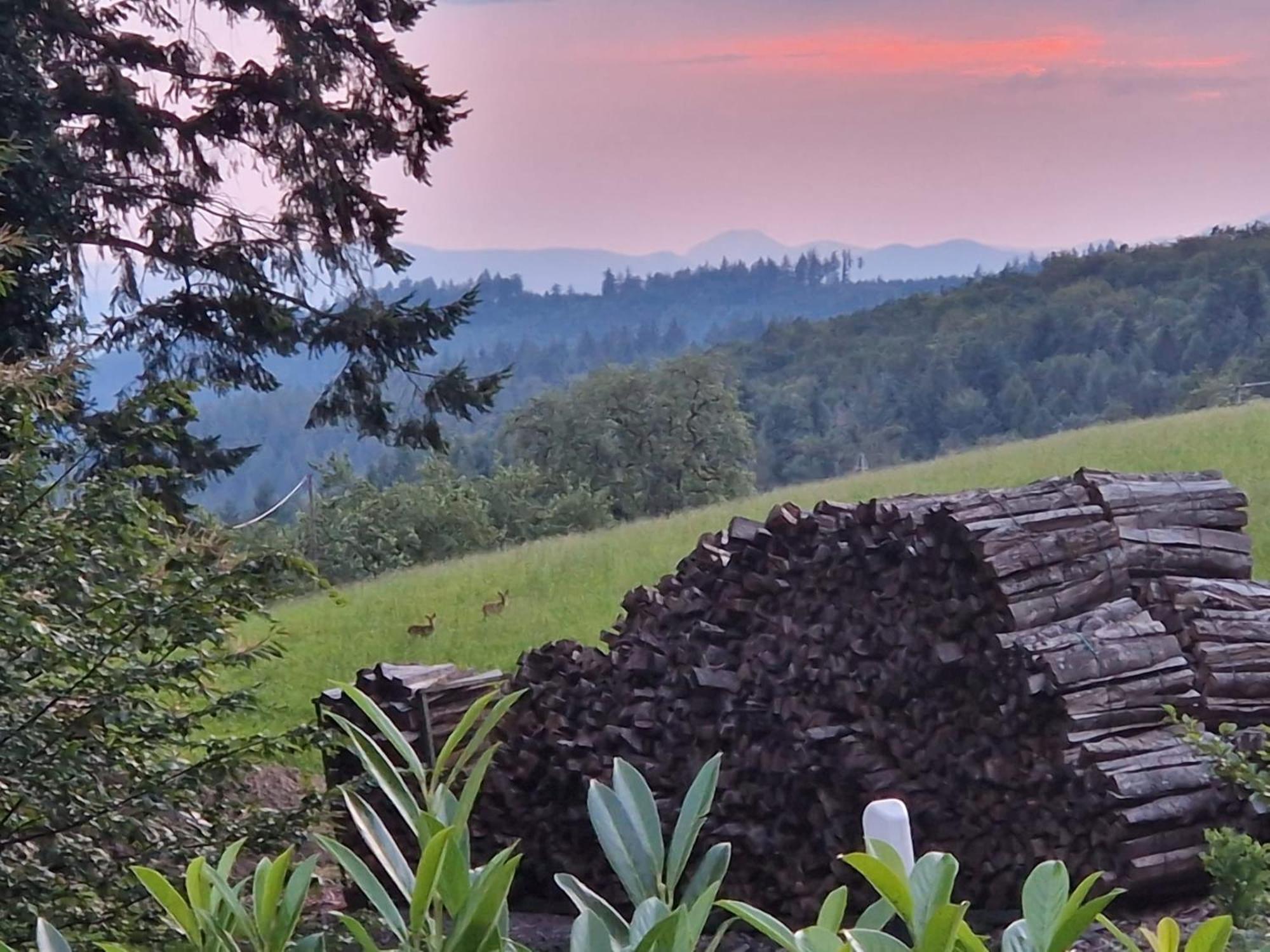 Ferien Im Schwarzwald Freiamt Hotell Eksteriør bilde