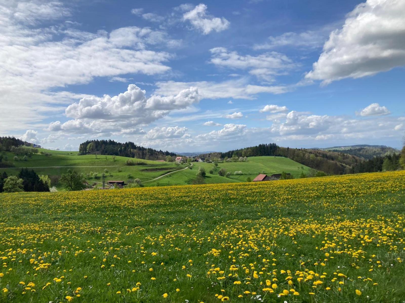 Ferien Im Schwarzwald Freiamt Hotell Eksteriør bilde