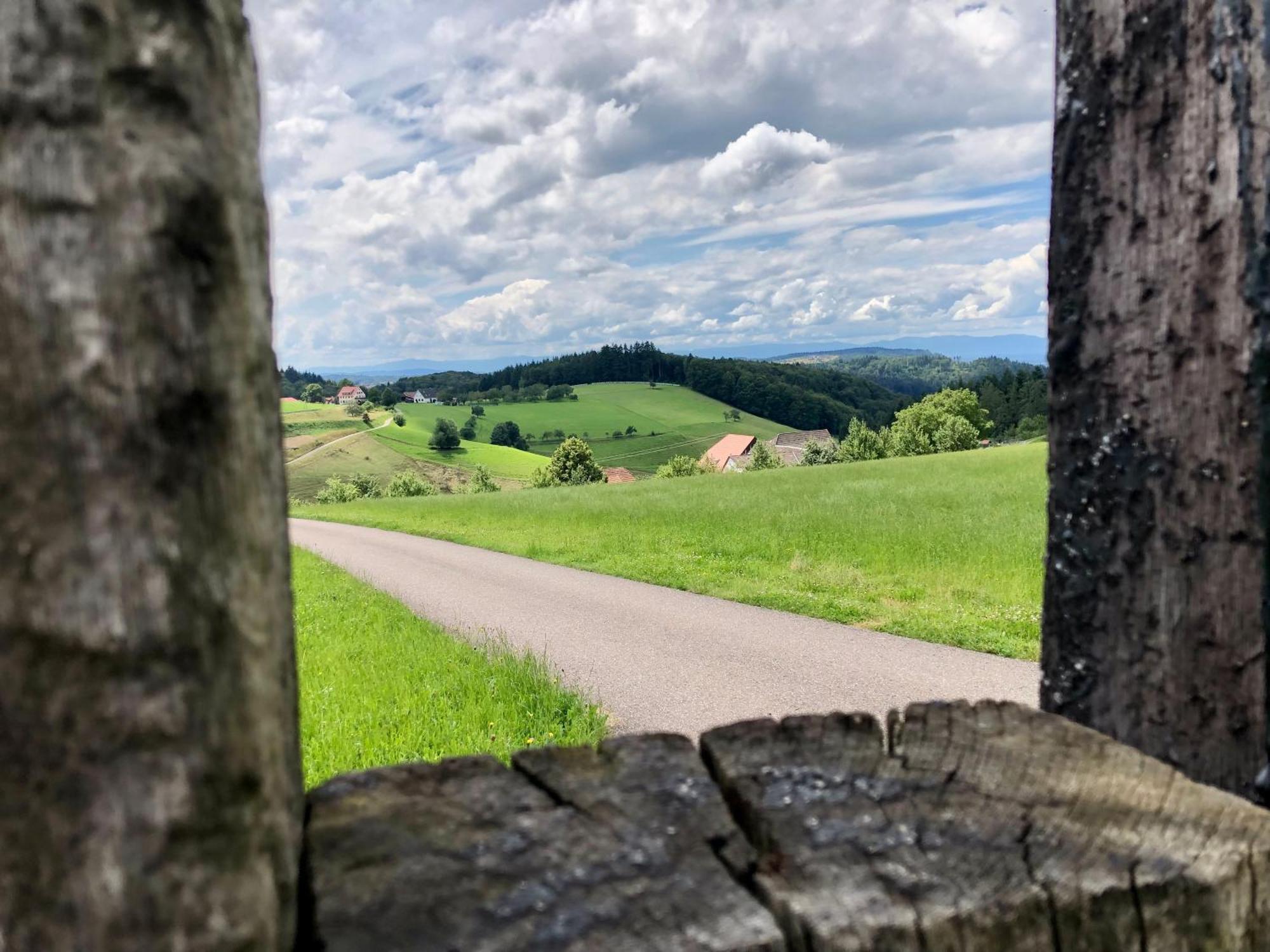 Ferien Im Schwarzwald Freiamt Hotell Eksteriør bilde