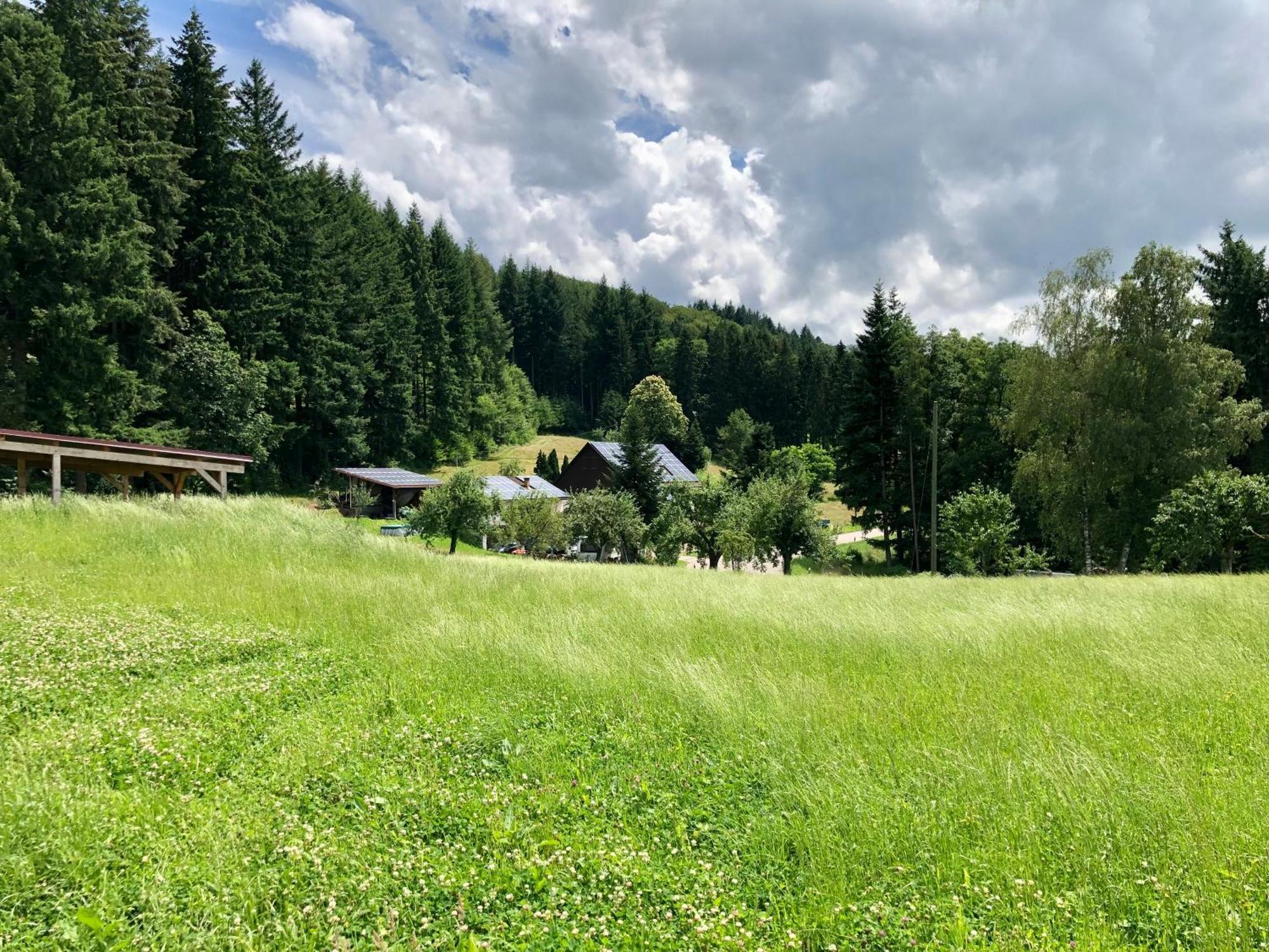 Ferien Im Schwarzwald Freiamt Hotell Eksteriør bilde