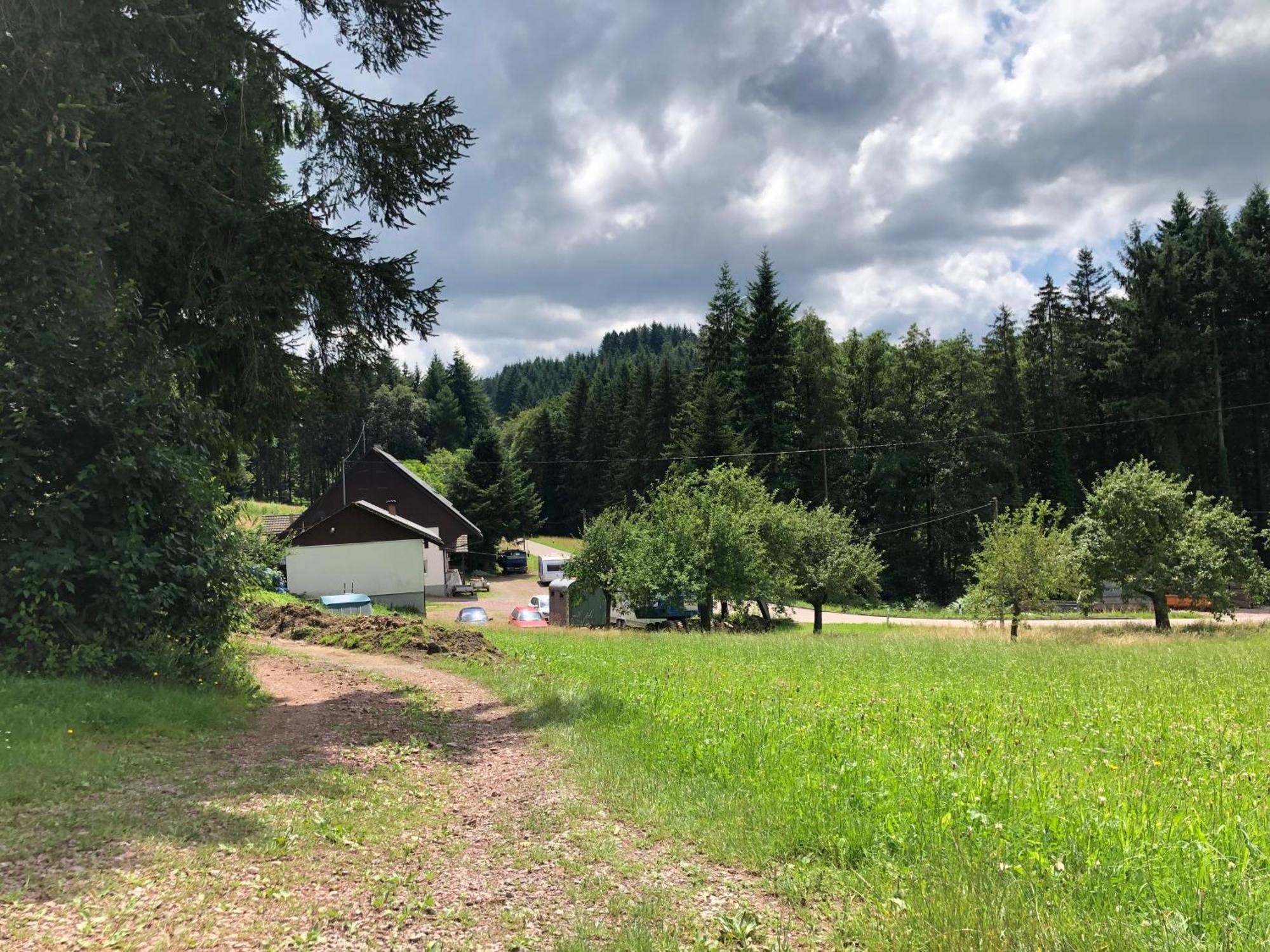 Ferien Im Schwarzwald Freiamt Hotell Eksteriør bilde