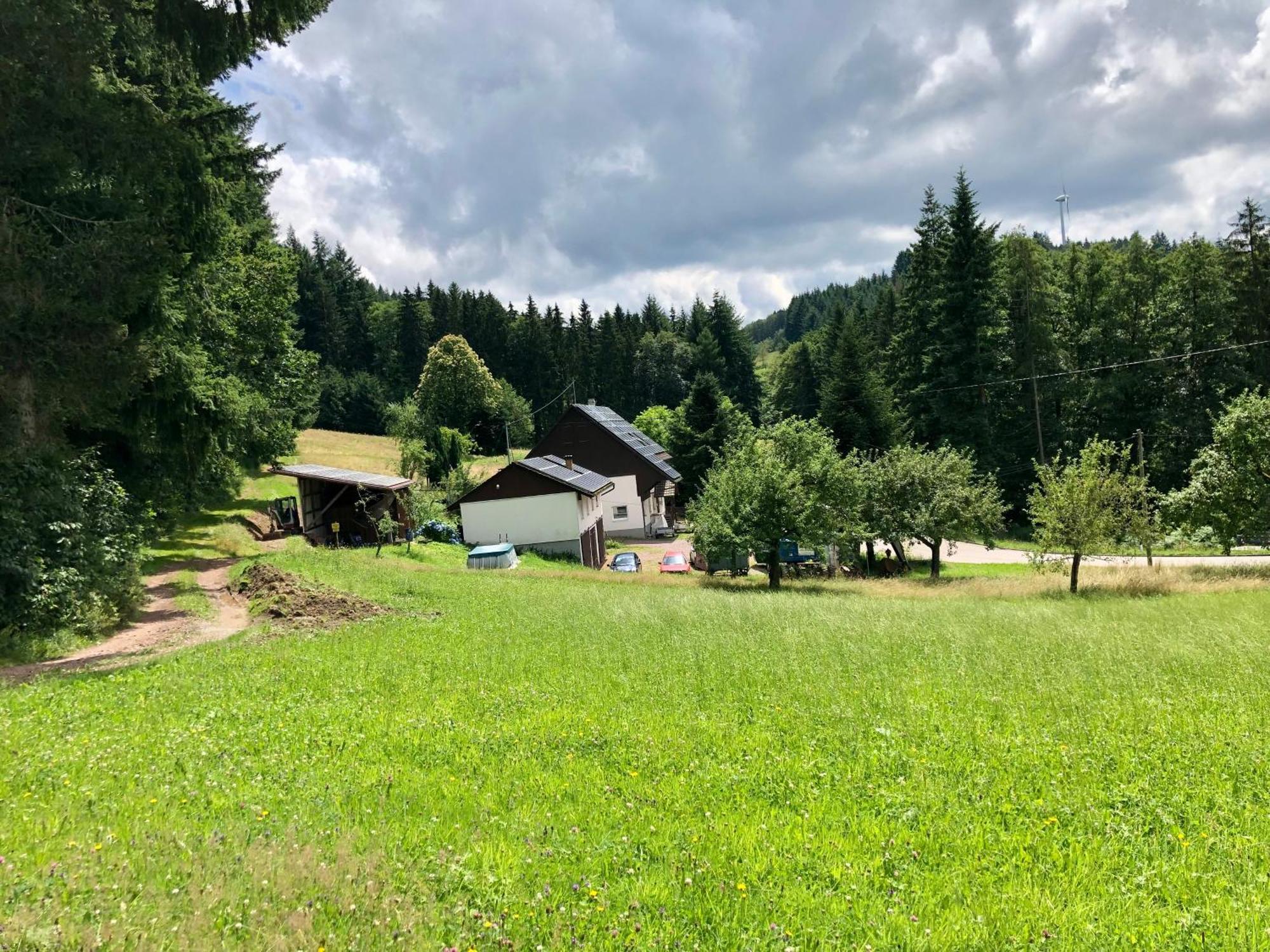 Ferien Im Schwarzwald Freiamt Hotell Eksteriør bilde